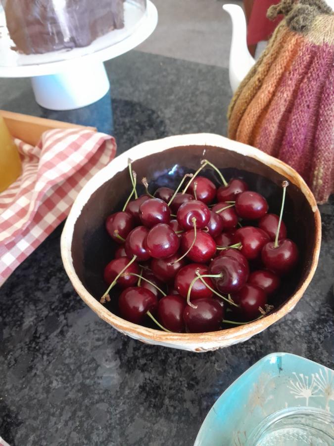 Hillview Homestay Richmond Dış mekan fotoğraf