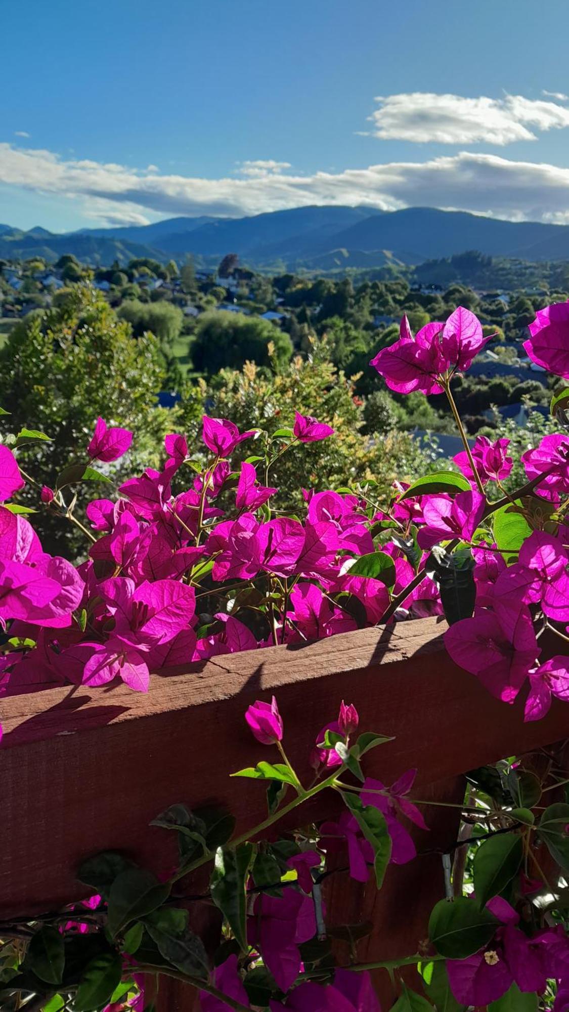 Hillview Homestay Richmond Dış mekan fotoğraf